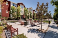 Milpitas - McCandless Mixed Use Residential 1158 du's